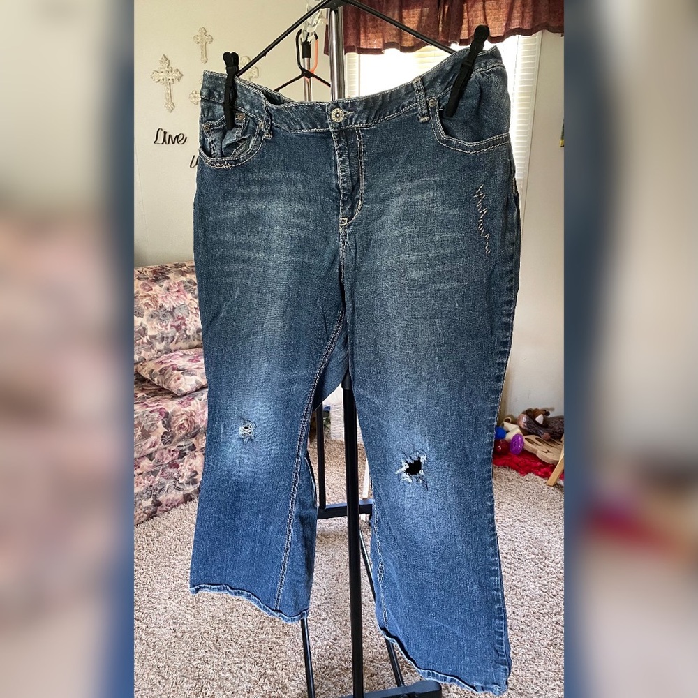 Women’s Plus Size 22 Cato Bootcut Jeans